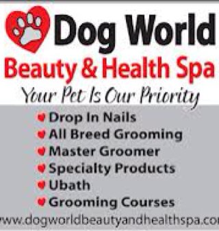 Dog World Beauty Shop & Health Spa